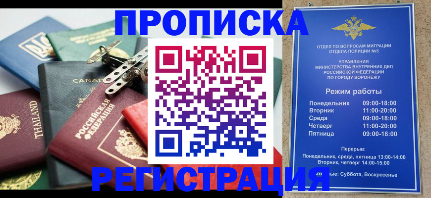 форма 3 в Чудово